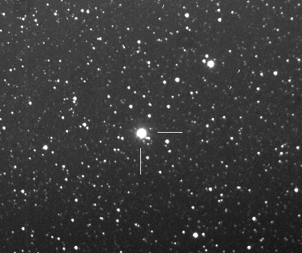 PNVJ20233073_2046041_6x20sek.jpg - 122882 Bytes