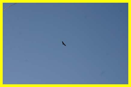 sao3474.jpg - 12164 Bytes